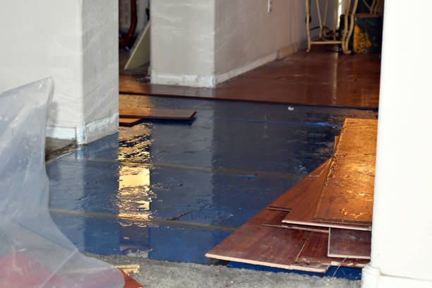 Professional Basement Water Removal technician working in George West, TX